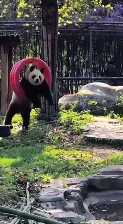 ������ ��������� ����� � ������� ����������