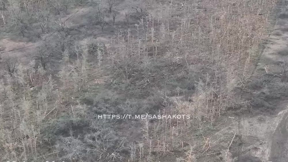 ��������� ���: �� ��������� ���������� �� ����� �������-��������� - ������