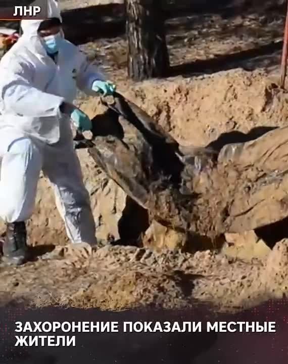 ������������ ���������� �������� � ���