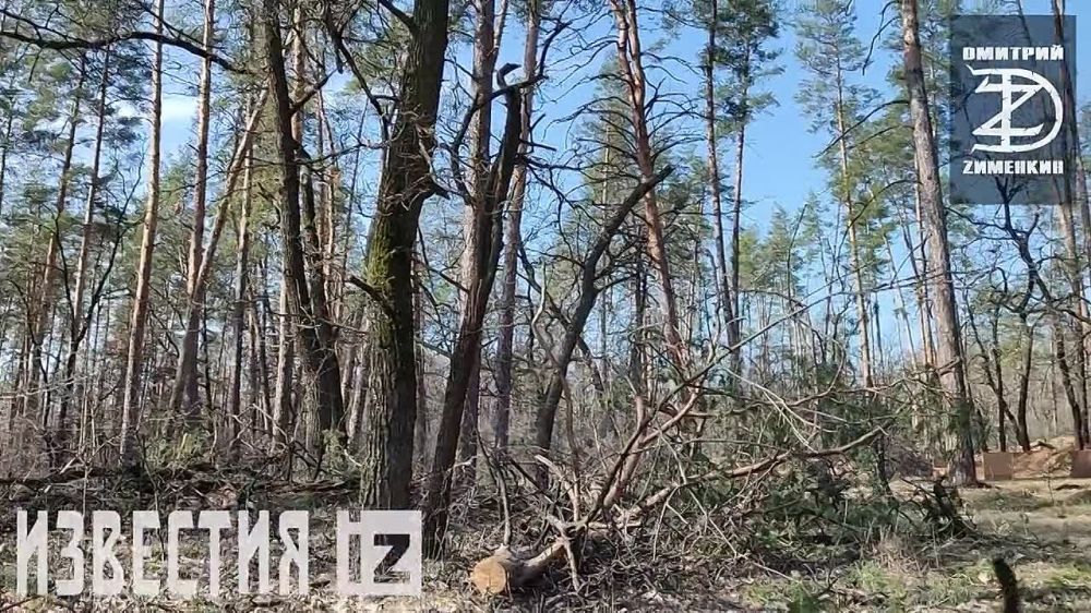 ������� ��������: ������ ������� � ����������� ��� ���������