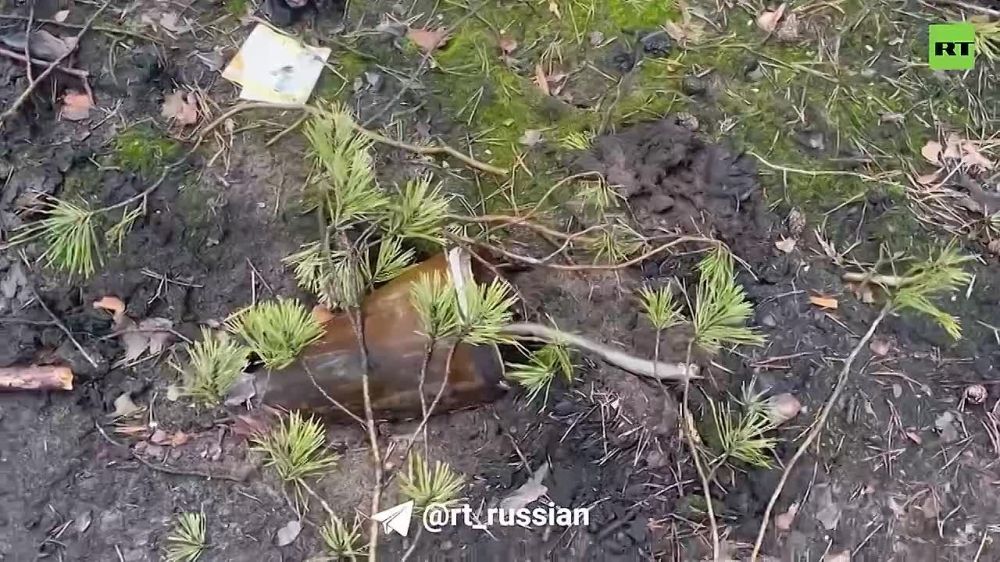 �������� ��� ���������: ��� ��������� (���) ������� RT �������� ������� ������ 331-�� ����� ��� ������ � ���������� � �������� ������