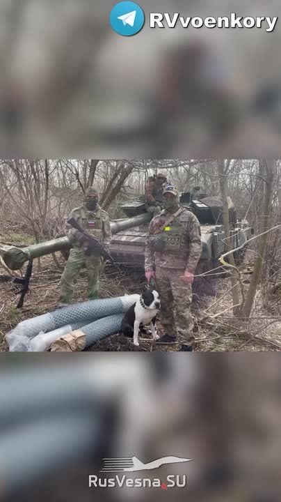 �������� "���� ��� ������": � �������-��������� ������ ��� ������� ����� ����� ������