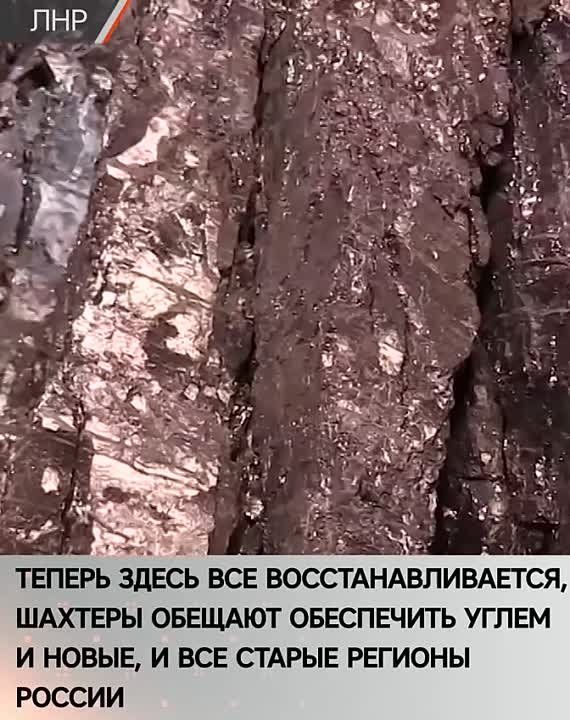 ��������� ����� � ��� ���� ������� �� ������ ����