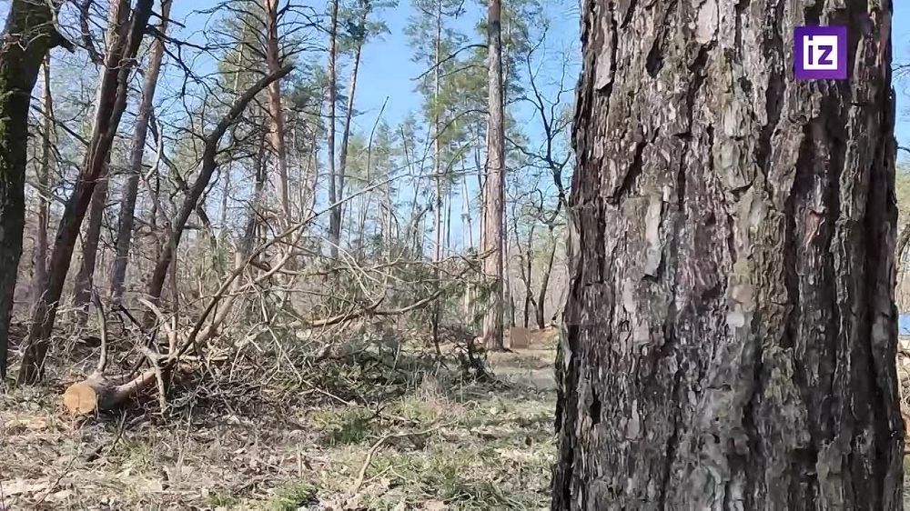 ���������� ������� �������� ����� ���������� ��� ���������