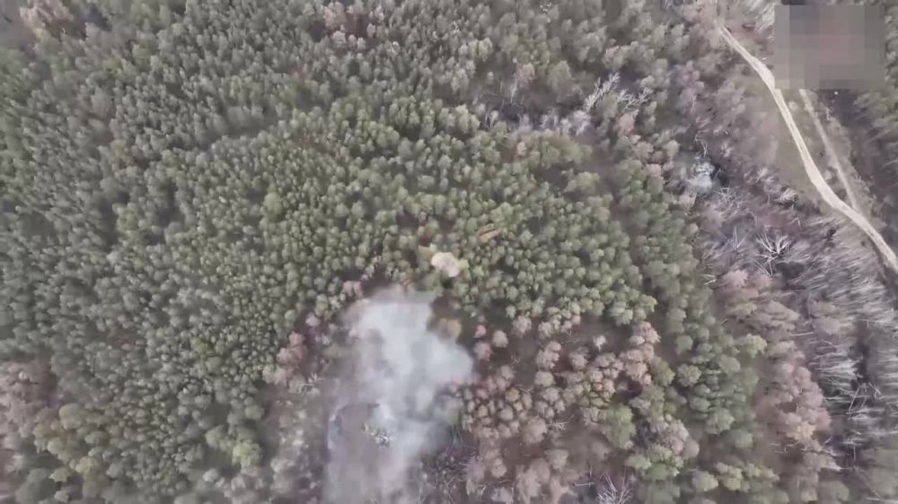 � ���������� �������� ��������� �������� ����������, ������� �������� ������, �������� ������� � ���, �������� � ����������� ��������� ���������� ���������� �������� 24� ������ ���������