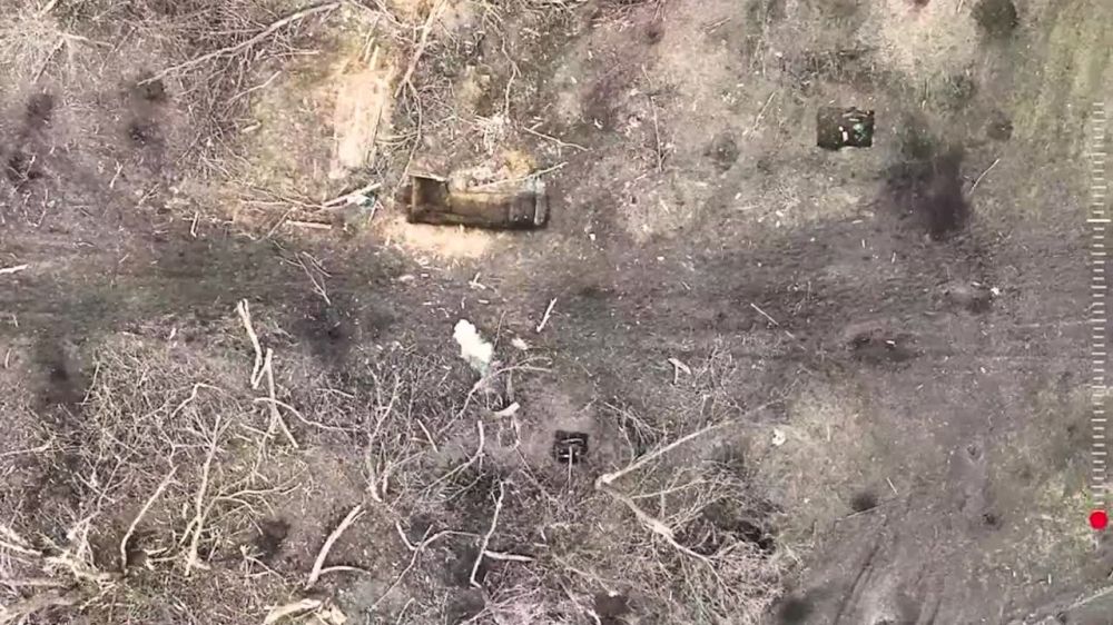 ������� �������: ���������-�������. ����������� ������������� ������� ������� ���������� ������� ����� ����������