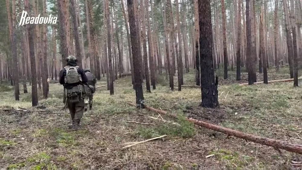 ����� �����: �����-13. ����� �������� � ��������� ������ �� �������-���������� ����������� �� ������ ����-13 � ����� ������ Readovka