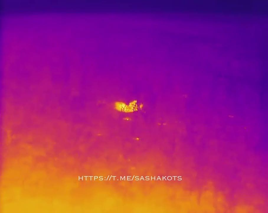 ��������� ���: ����������� ����������� �������� ���������� � ����� ��� ���������