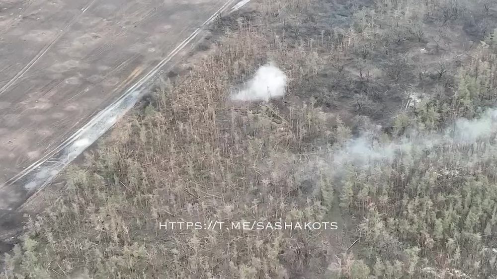 ��������� ���: ���-�� ��� ���������. ������� ����� ������ �������� ��������� �������� ����������