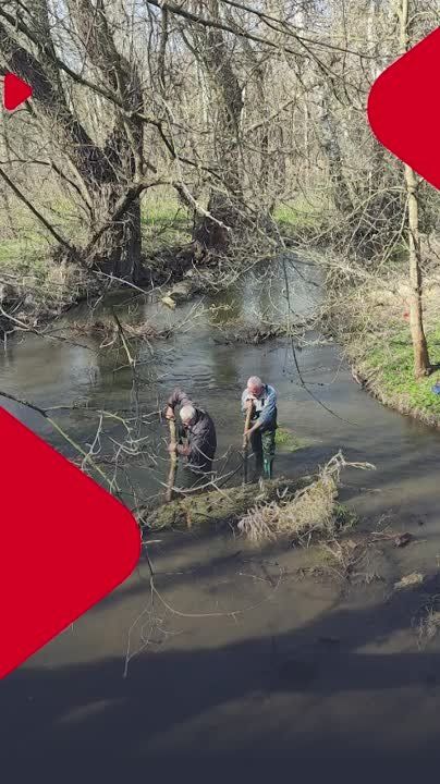 ������ ����� ������ ������� � ���� ��������