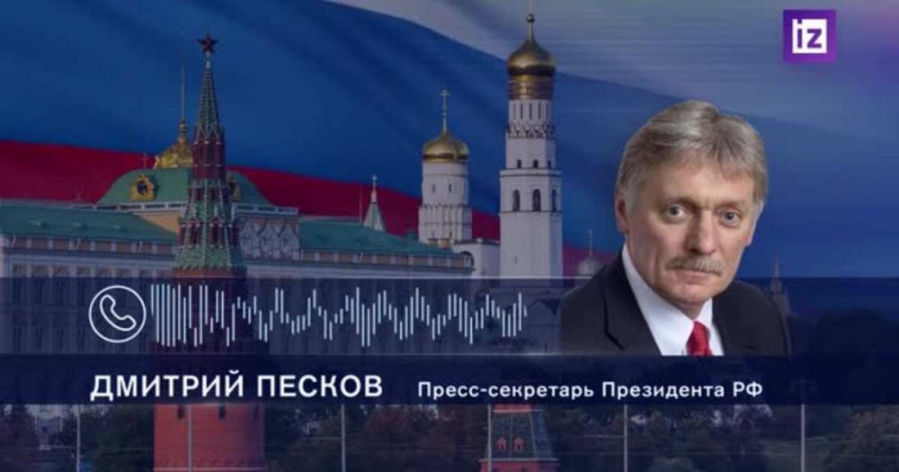 Песков словами "это надолго" оценил сроки гибридной войны Запада с РФ