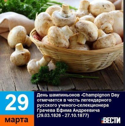 29 �����. ���� ����������� ����������� ������ �� ��