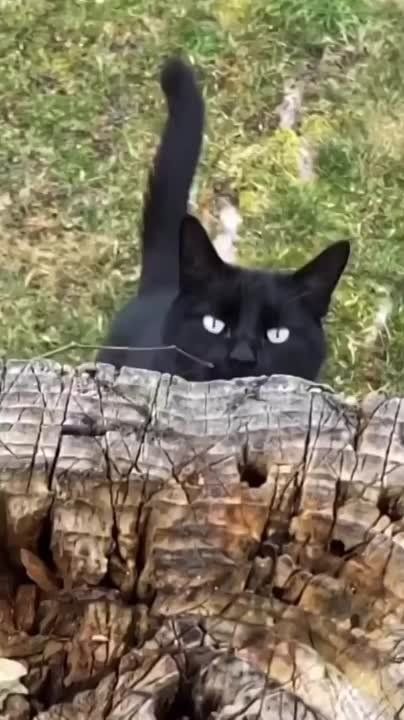 �������� �� �������� ������