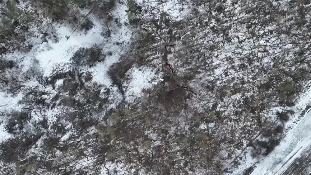 ������� ���������: � � ������ �� ������ �������-��������� ��� ��� ������ �� ������������ ������� ��������� � ������������ �������� ������ ����� �������� � ������ � ���������� �������