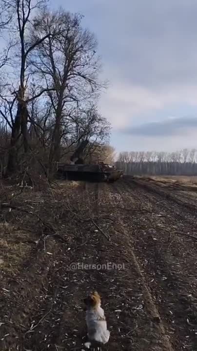 ����������� ����������������� ����� ��� � ������� ��� "������-10"
