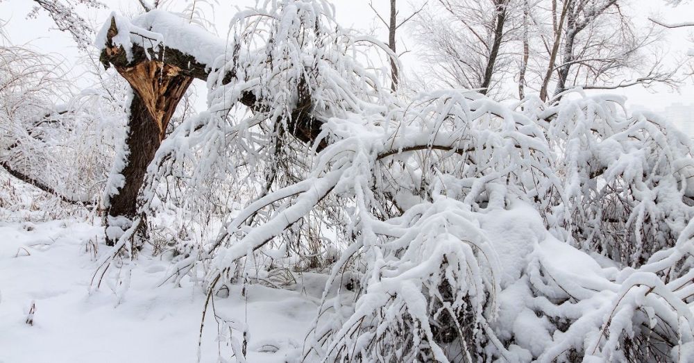 10 ������ �������������� ���������� � ������� ���������� ��������