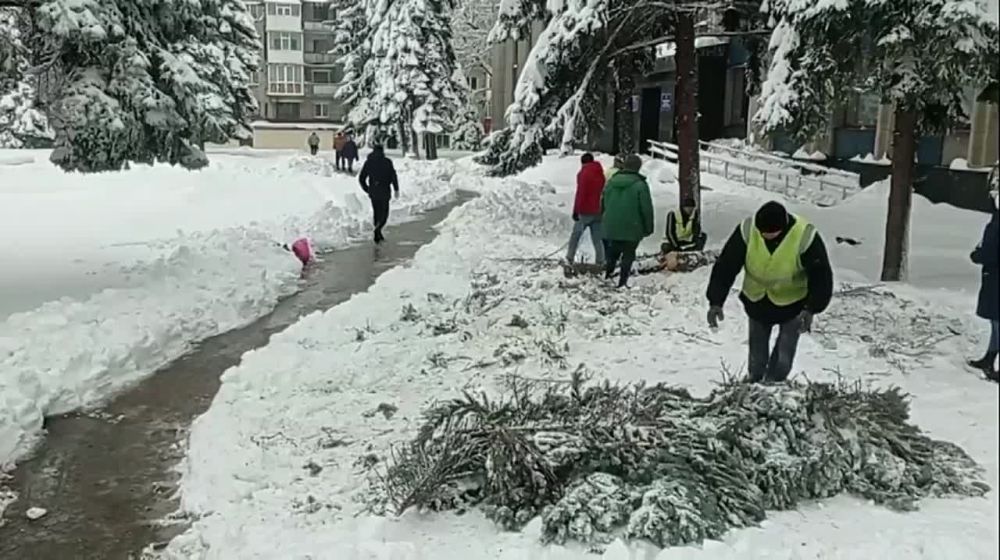 ������ �� ���������� ����������� ������ ������������