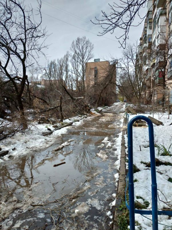 ������ ��������: ����������� ������ � ��������