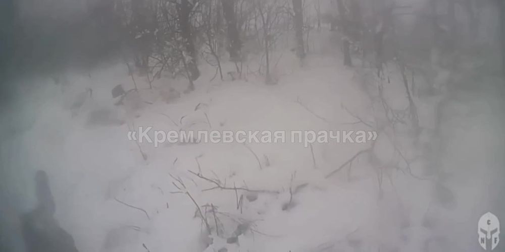 ����� 3-� ����������� ������� �������� ��� �� ������ ������������ ����� �� ��������� ������� ����� �� ����������� �������-���������