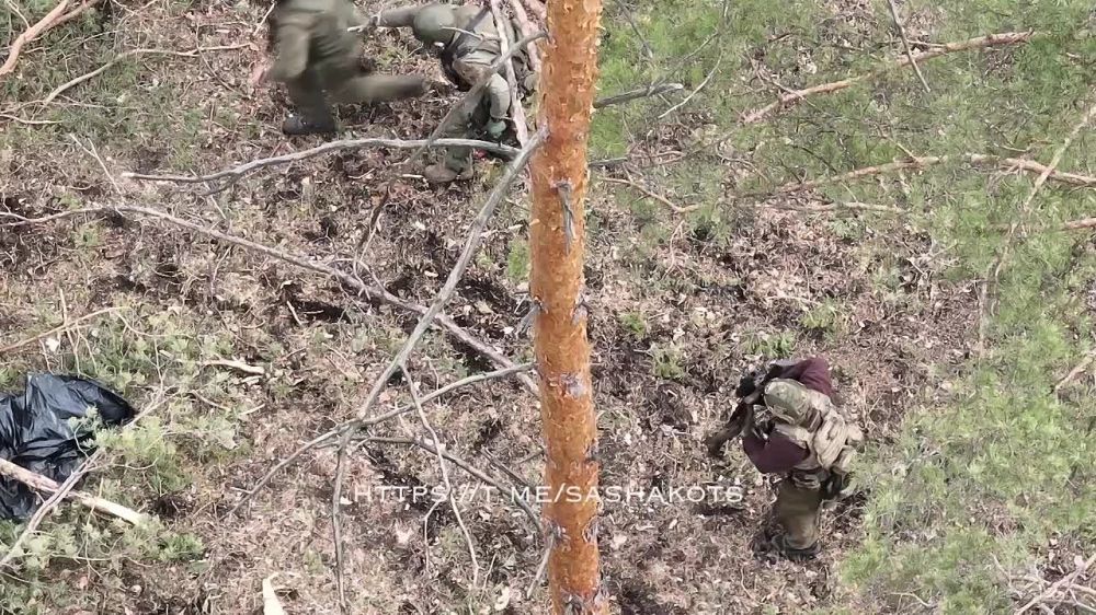 ��������� ���: ���������� ����� ������ ����������� 98 ������� ��� � ����� ��� ���������