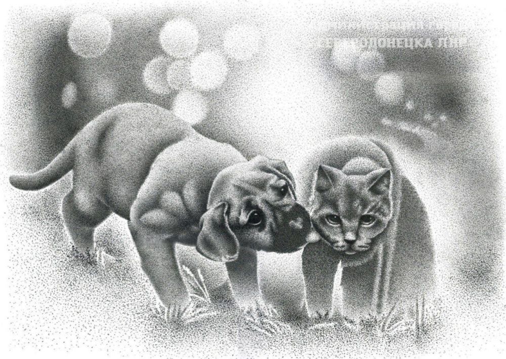 ������� ��������: ��������� ���������� � ����������� ���� ���������� ������������