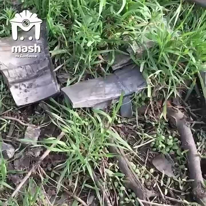 ��� ���������� ���������� ��������� � ����������