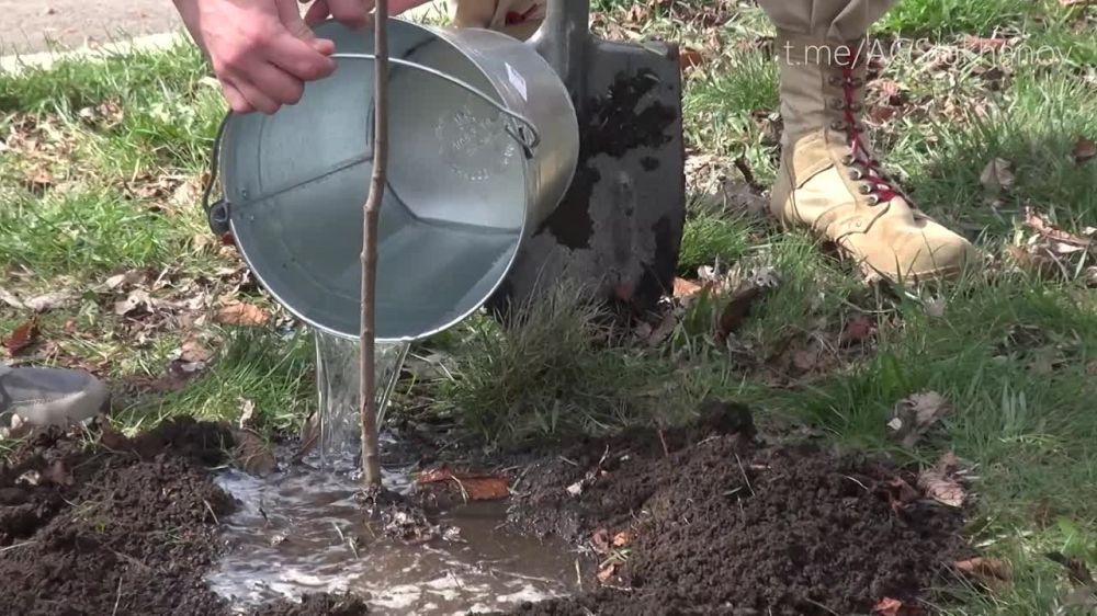 "������� �� ������ ������� � ������ � ��� �����, ������� ������ ���� �����, ������� ��������� � ���� �������...