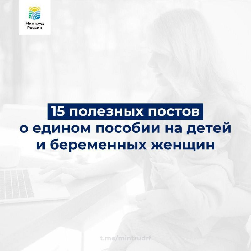 ����� �������: 15 �������� ������ � ������ ������� �� ����� � ���������� ������