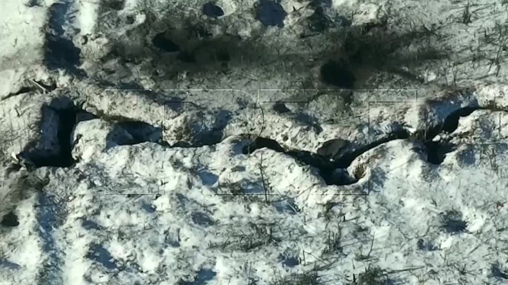 ����� ������������� ������ �׸���� ������� ��� ����������