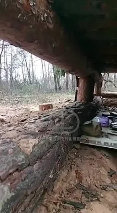 ������� ��������: ����� ���������� ����� ����� �����������