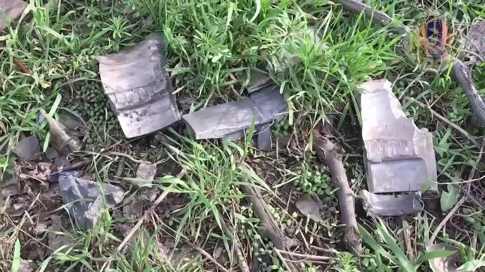 �. �. ���� ���������� ������ ������ �������� �������, �������������������� � ��������� ����� �������� ������ ����������� ��������, ������������ ��������