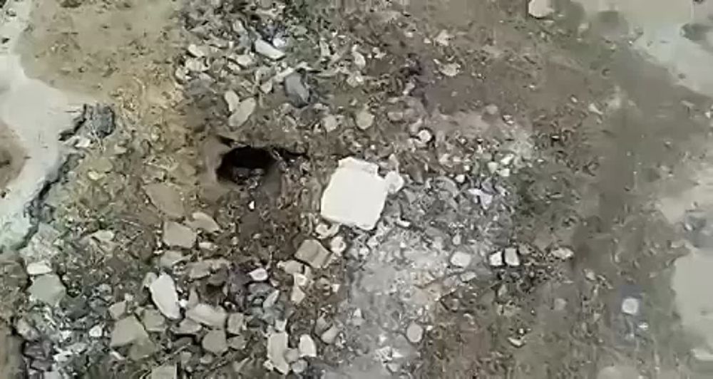 ���� ������ ���������� �������� ��������� �� ���������� ������ �� ����� ������ ���� � ���������