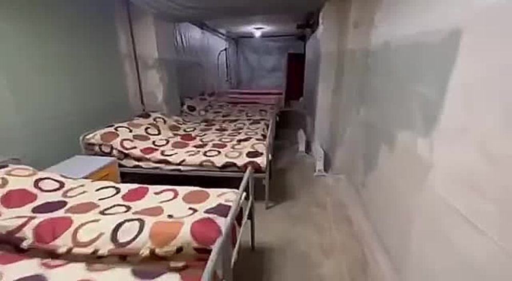 ����� ���������: �������� ������� ��������� �������� �� ���������