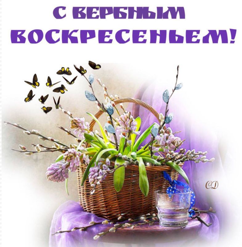 ������� �����: ���������� � ������� ������������