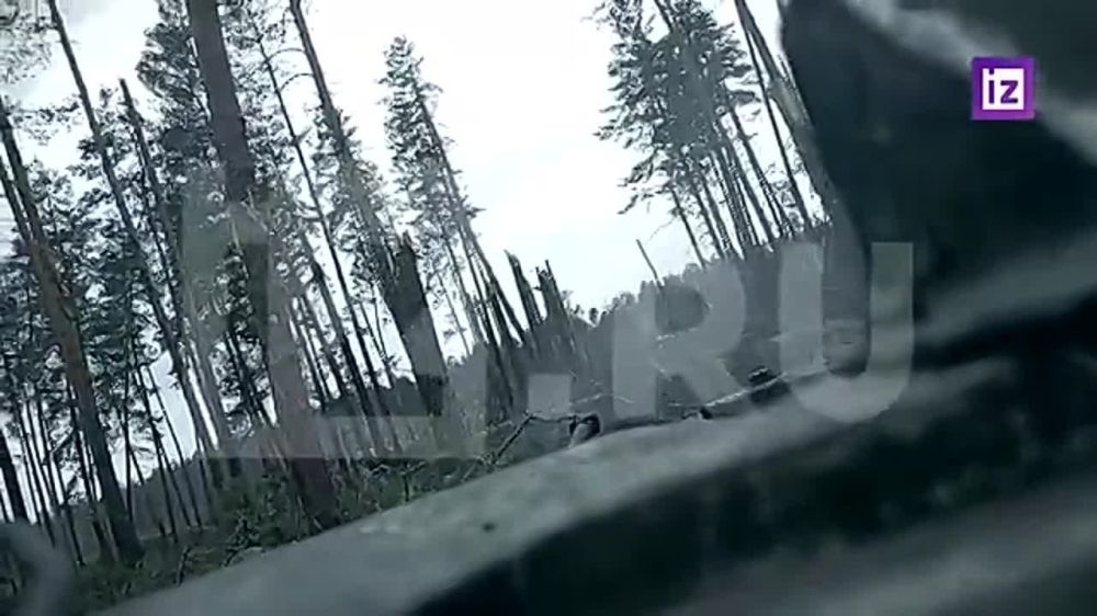 ����� ������� ���������� ������� ������������� � ������ ���������