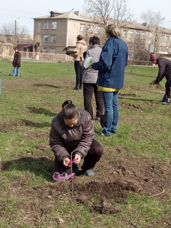 Отделом по обеспечению жизнедеятельности г. Перевальск Администрации Перевальского района Луганской народной Республики провели акцию «Сад памяти»