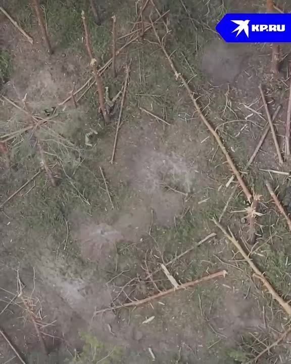 ���������� ������� ������ ���: ���� �������� � ������ ����������� ������, ������� �������� ����� ��� ����������������