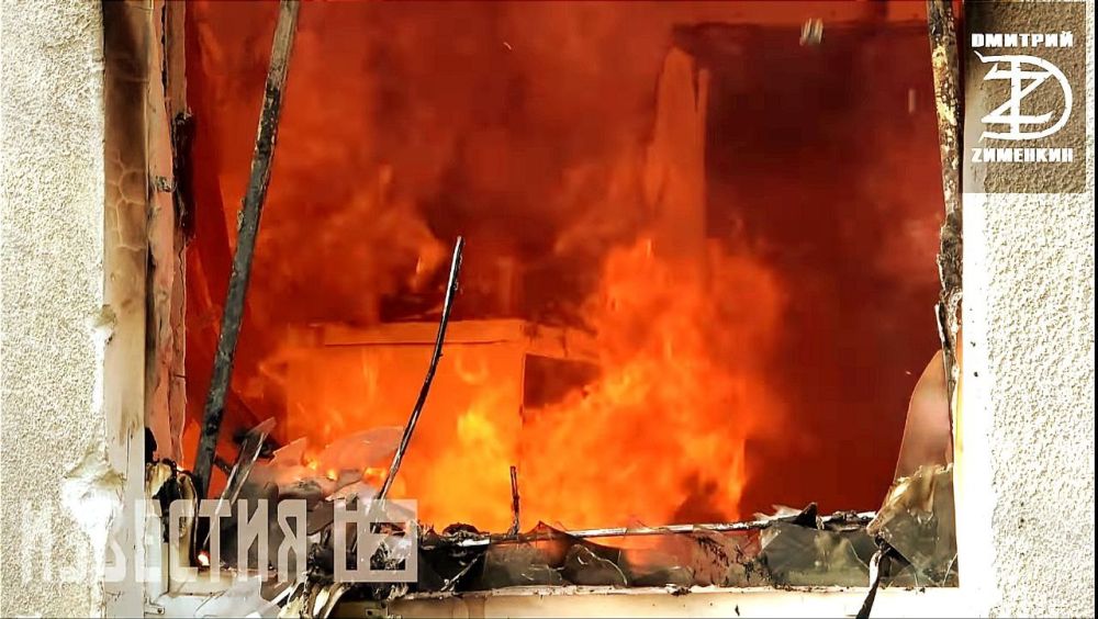 ������� ��������: D������ Z. 29 ������ 2022