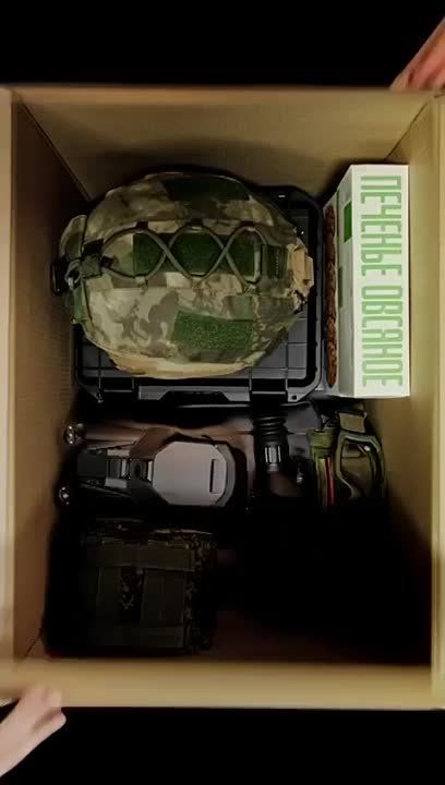 ���� ������: