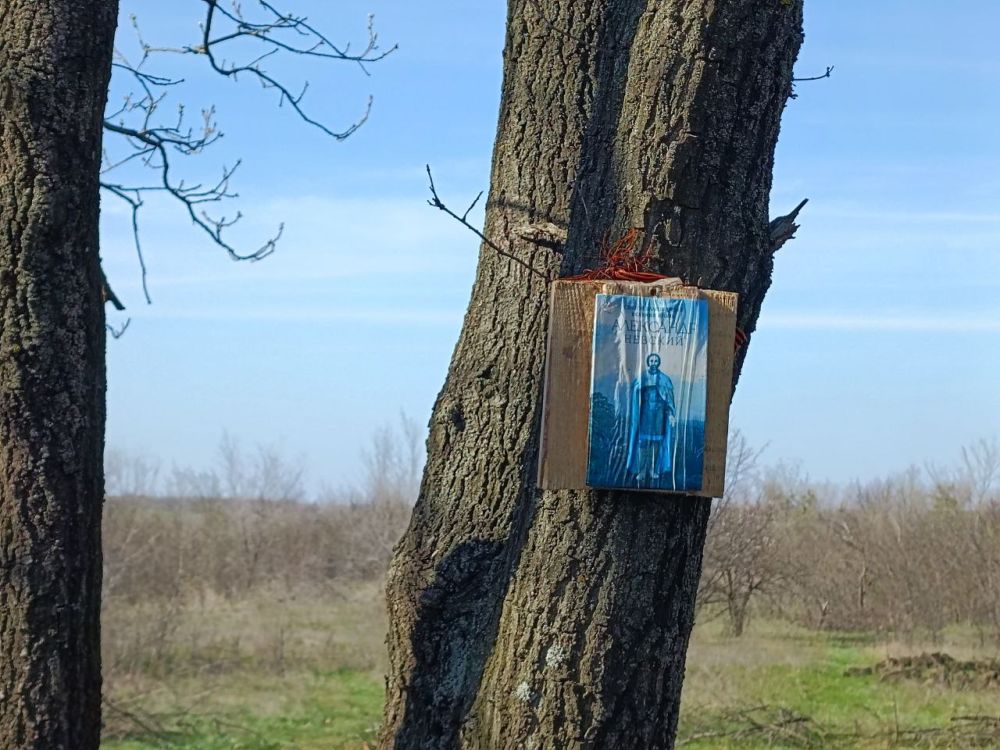 ���� ���������: ����� �� ����� ������� ��������������� � ����-12