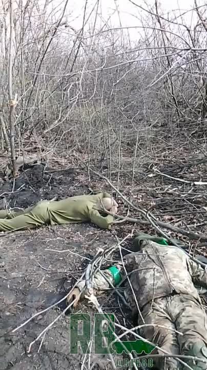 ����� �����: ������ ������� ��� �� ���������� �����������