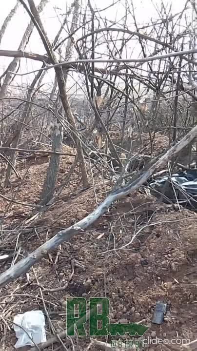 ���� �� �� ���� ���������� ���� ��� ��� ���������������