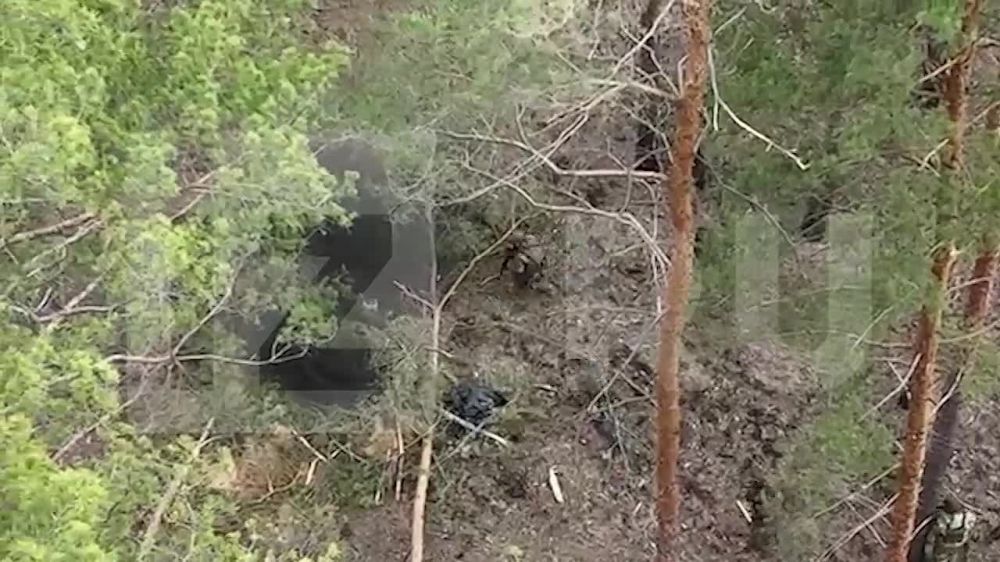 ����� ��� ��� �� ������ ��� ��������� ������ ��������� �������, ���� ���������� ���������-��������� ������ � ����������, ���-1� "��������", ������ � ��� ����� ��������� 17 ������� ������� ������������� ��� � ������ ���������