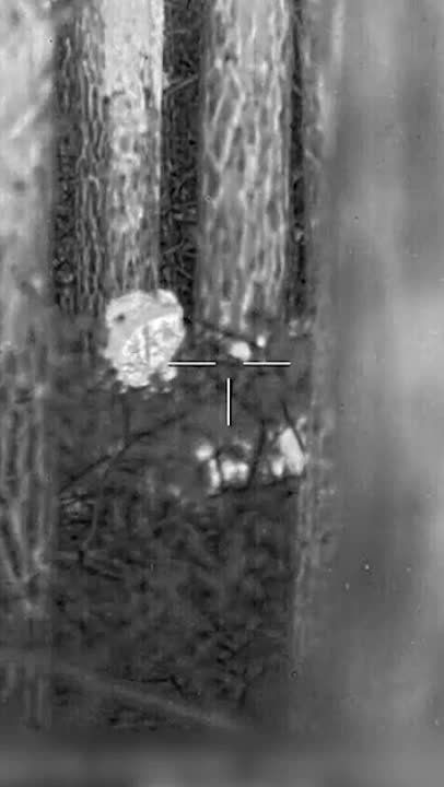 ����� �����: ������ �������� ��� ������ �� ������ � ������ ���������