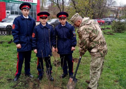 ��������� ������ �������� ���������� ����� ������ � ����������� ������ ������