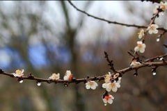 ��������� ������������ 13 ������ � ��� �� 16 �������� ����� � ������� �����