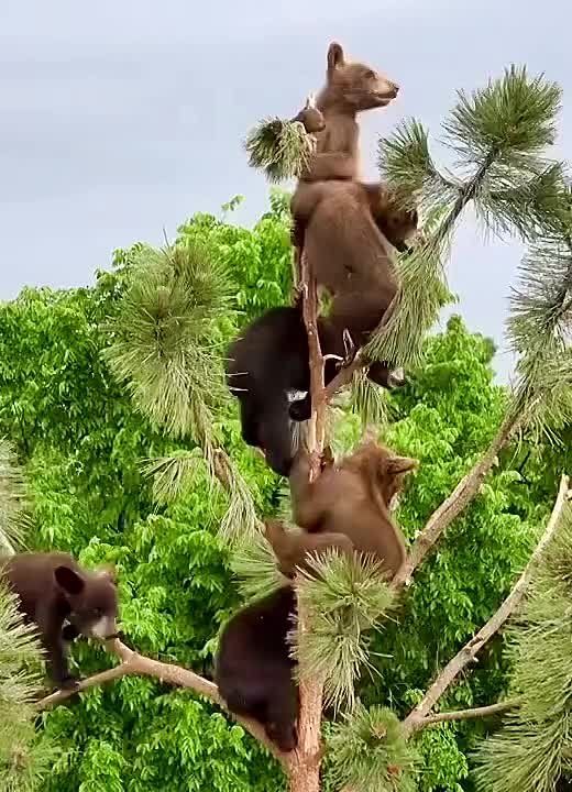 ����� � �������� ����.