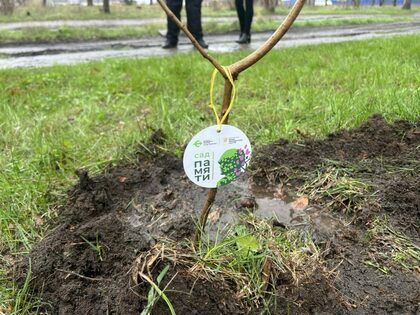 ���������� � ������ ����� "��� ������" �������� 50 �������� ����� �� ���������� ����� � 2