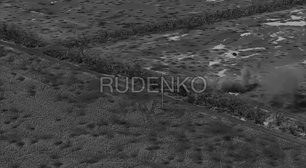 ������ �������: ������������ �� �� �� ����������� ����������� ���������� ������� �������� ���