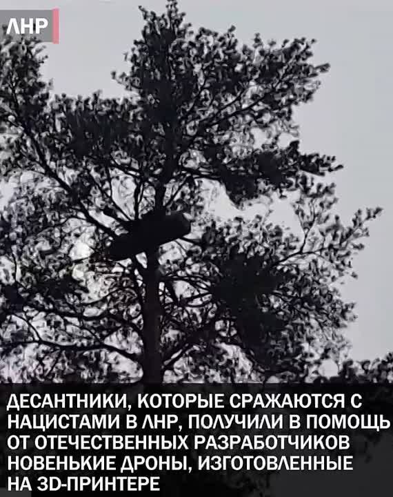 ���������� 3D-�������: ������ ������